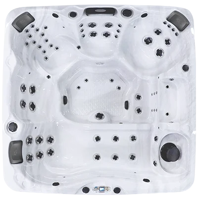 Avalon EC-867L hot tubs for sale in West Covina
